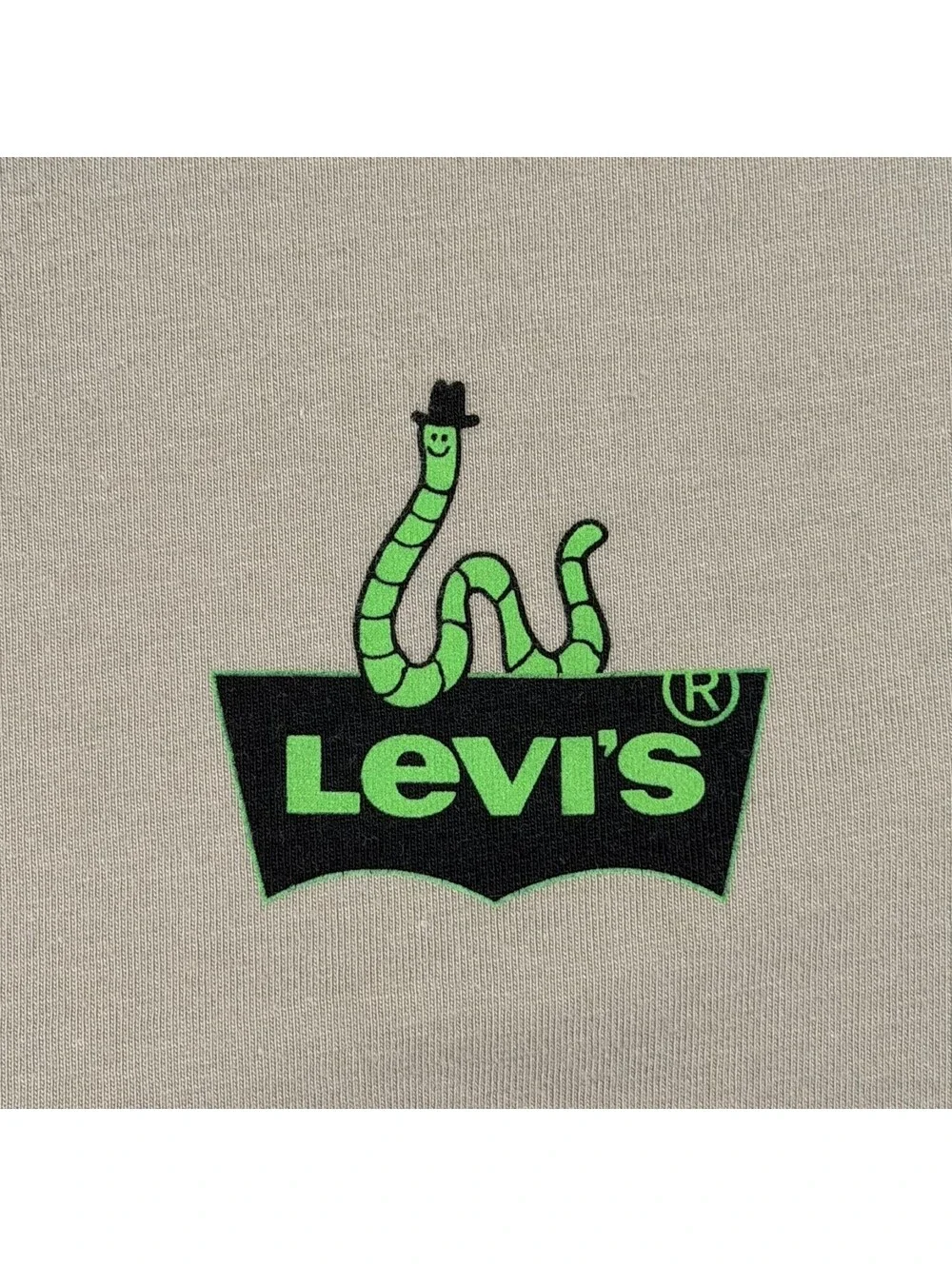 Levi's Mens XXL Sage Green Forest Foraging Graphic Tee Mushroom Worm Print